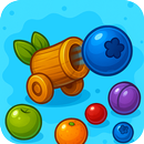 Zumi Pop: Fruit Puzzle Game APK