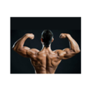 Manage Your Training APK