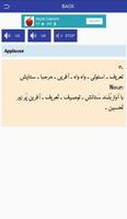 Translate English To Urdu Dictionary Meaning capture d'écran 1