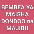 Bembea ya Maisha-Dondoo