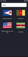 Flag Country Rectangle imagem de tela 2