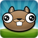 Noogra Nuts - The Squirrel APK