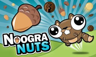 Noogra Nuts ポスター