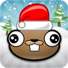 Noogra Nuts Seasons icon