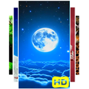 Night Sky Live Wallpapers APK