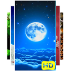 Night Sky Live Wallpapers icône