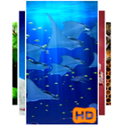 3D Aquarium Video Wallpaper simgesi