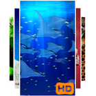 3D Aquarium Video Wallpaper ikon