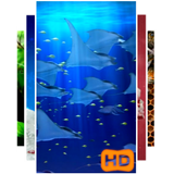 3D Aquarium Video Wallpaper icon