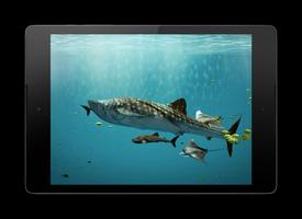 3D Aquarium Video Wallpaper Affiche