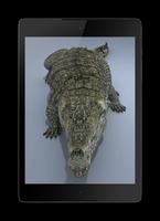 Crocodile Live 3D Wallpaper اسکرین شاٹ 3