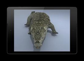 Crocodile Live 3D Wallpaper Affiche