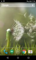 Dandelion Live Wallpaper Vídeo imagem de tela 1