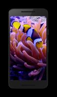 Fish Video Live Wallpaper syot layar 1