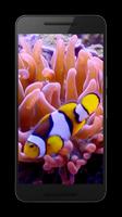 Poisson Vidéo Live Wallpaper capture d'écran 2