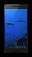 Sharks Live Wallpaper स्क्रीनशॉट 3