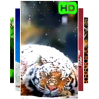 Snow Tiger Live Wallpaper ikon