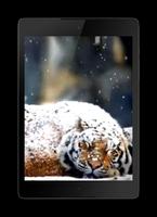 Snow Tiger Live Wallpaper اسکرین شاٹ 1