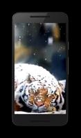 Neige Tiger Live Wallpaper capture d'écran 2