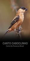 Canto Caboclinho 海報