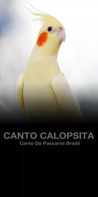 Download do APK de Cantos Calopsita Brasileiros para Android