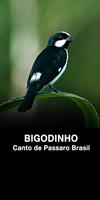 Cantos do Bigodinho Cartaz