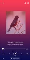 Cantos de Curio Praia 截圖 3