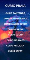 Cantos de Curio Praia 截圖 1