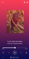 Cantos de Curio Praia 截圖 2