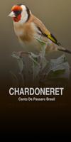 Chant Chardonneret Affiche