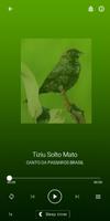 Femea Passaro Tiziu imagem de tela 2