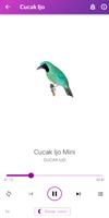 1000 Full Kicau Burung Lengkap imagem de tela 3