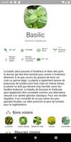 Planificateur de légumes Affiche