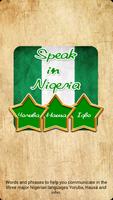 Speak in Nigeria Plakat