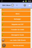 USSD SERVICES الملصق
