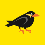 BEO System APK