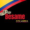 Besame icon
