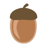 도토리지 [내가 묻은 도토리 어딨지?]