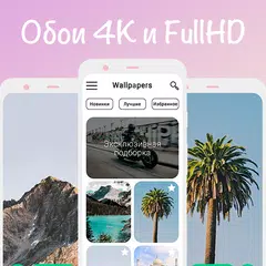 Best 4k Wallpapers