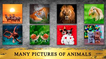 Puzzle games Animals screenshot 1