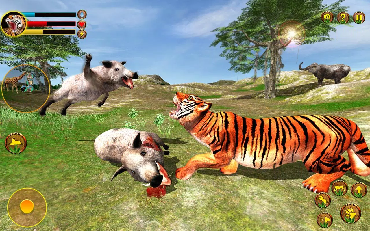 Jogo de Tigre Para Celular Tiger Simulator 3D Android ios Gameplay