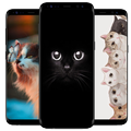 Cute Animal HD Wallpaper - Animal Lockscreen