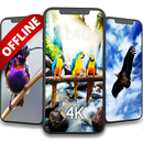 پرندوں کے آف لائن وال پیپر APK