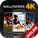 گھوڑوں کے آف لائن وال پیپر APK
