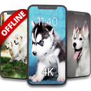 Wallpaper offline anak anjing APK