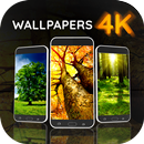 درخت آف لائن وال پیپر APK
