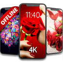 خواتین کا دن آف لائن APK