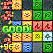 BlockWild - Klasik Block Puzzle Beyin için Oyun