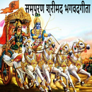 श्रीमद्भगवद् गीता हिंदी भावार्थ-BhagavadGita Hindi APK