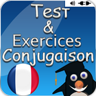 Game - exercices conjugation icon